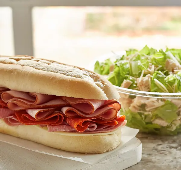 Fresh sandwich and salad